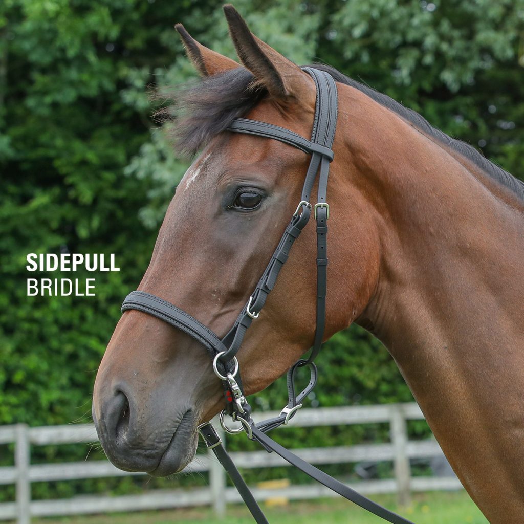 Sidepull Bitless Bridle | Your Saddlery